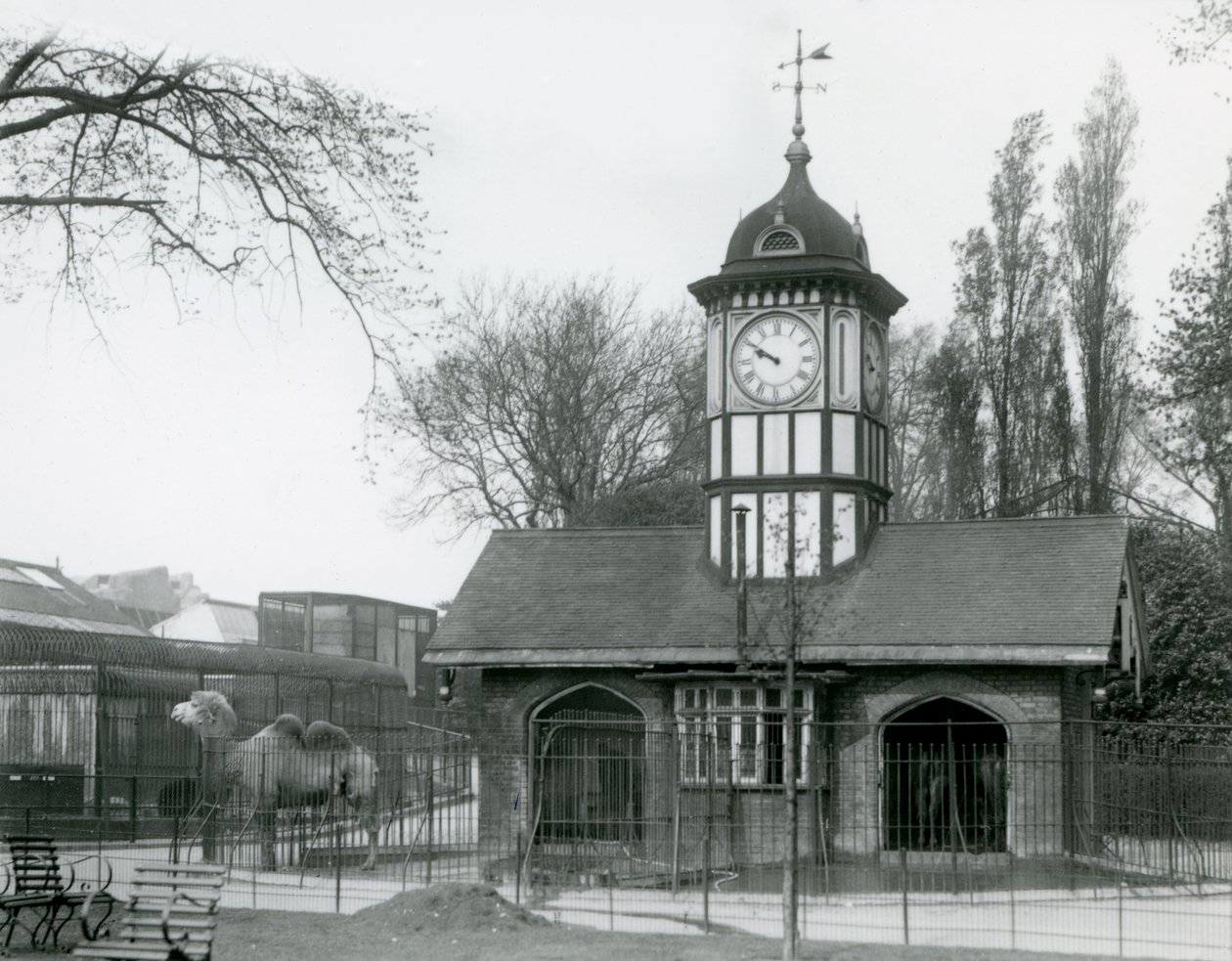 A Casa dos Camelos. O Jardim Zoológico de Londres de Frederick William Bond