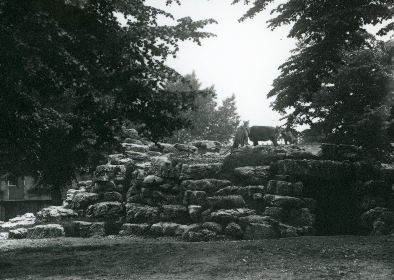 O Paddock ElandAntelope no Zoológico de Londres em junho de 1924 de Frederick William Bond