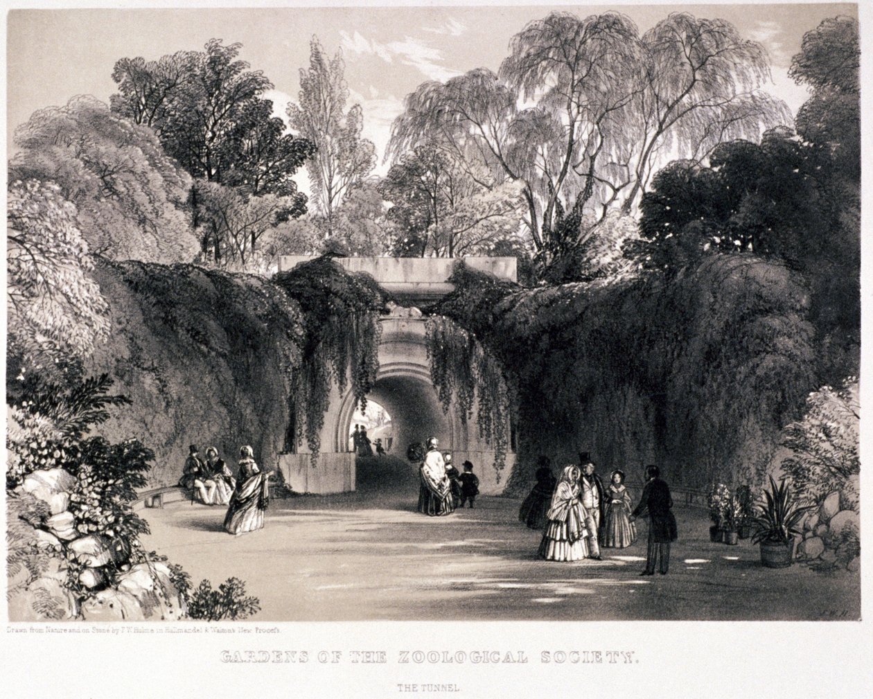 Jardins Zoológicos, Regent