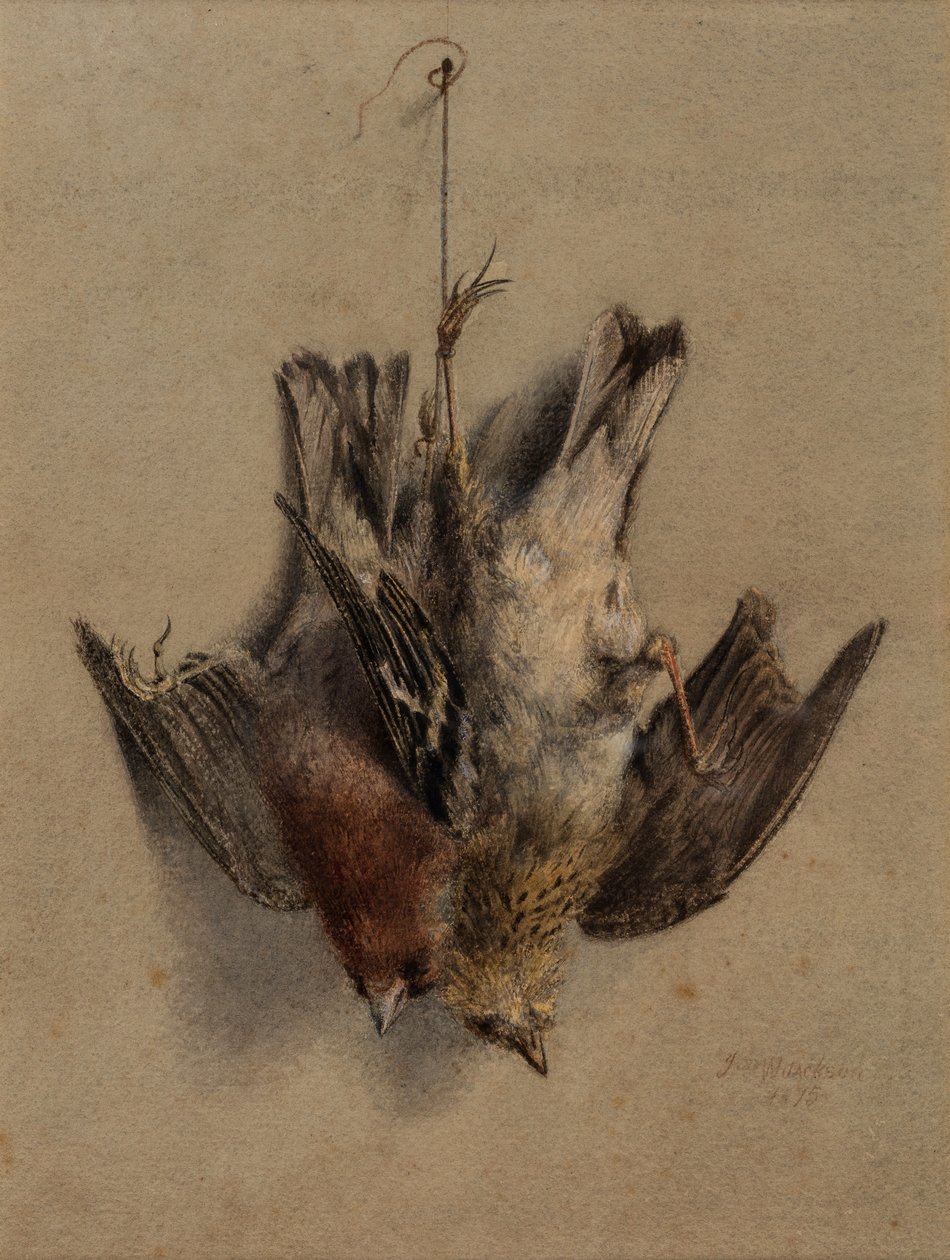 Natureza morta, Cotovias de Frederick William Jackson