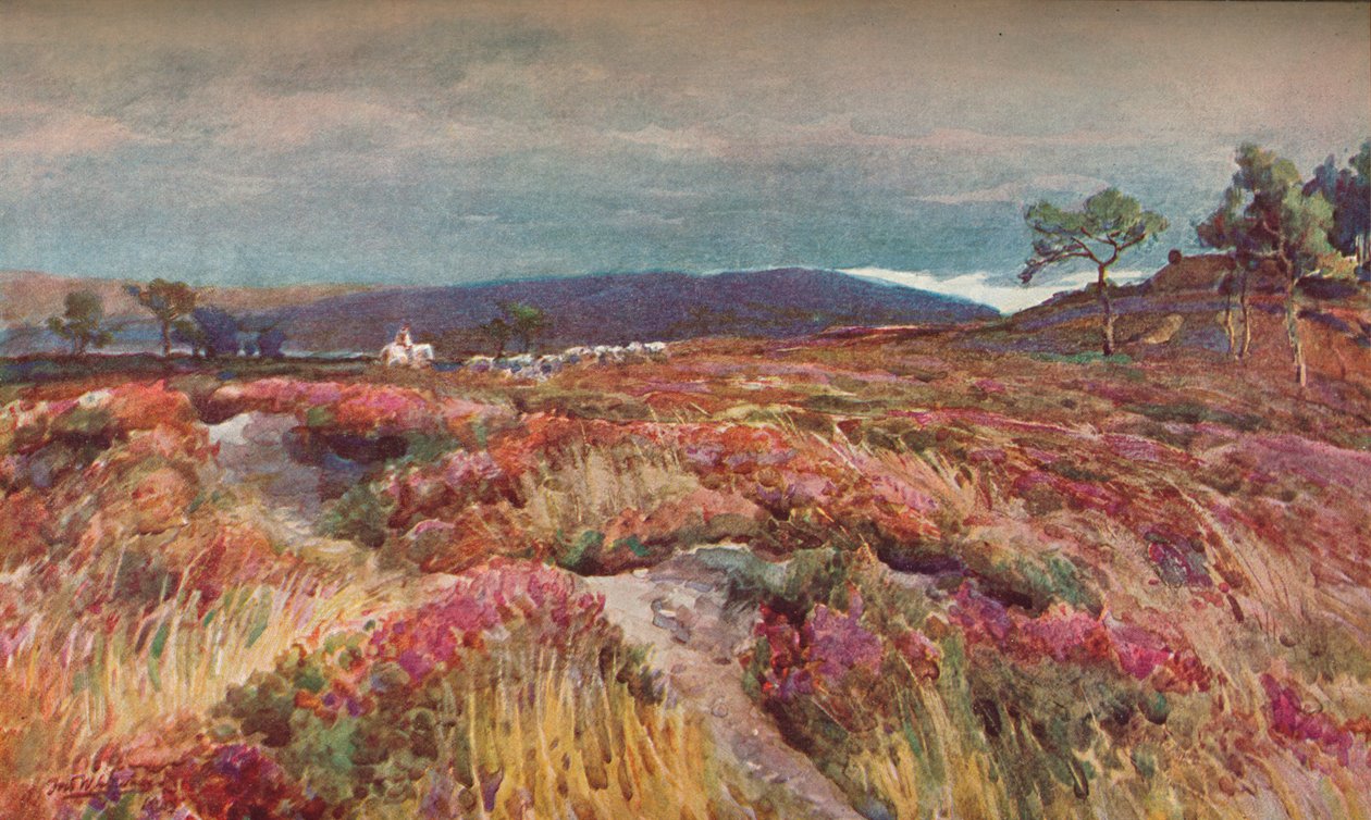 Na igreja de Heath Lytchett, c1904 de Frederick William Newton Whitehead