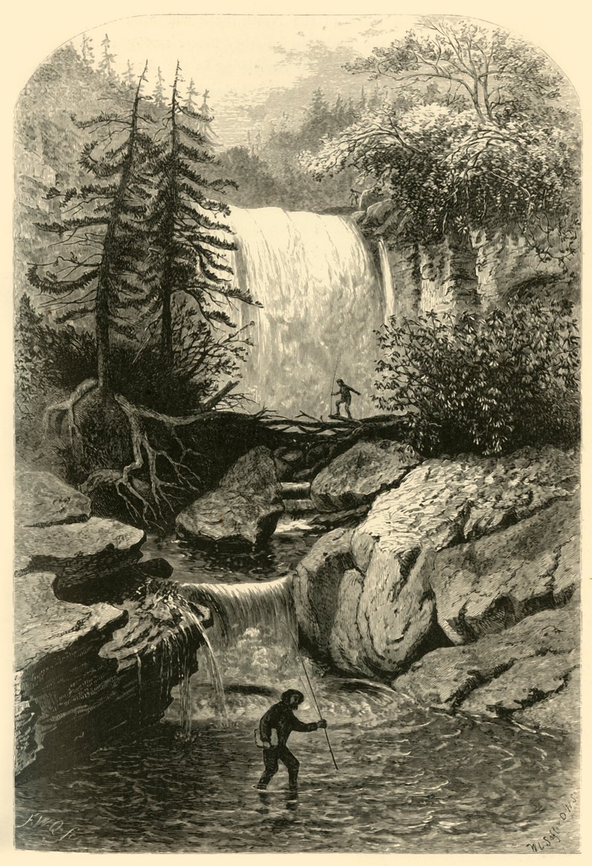 Floresta. de Frederick William Quartley