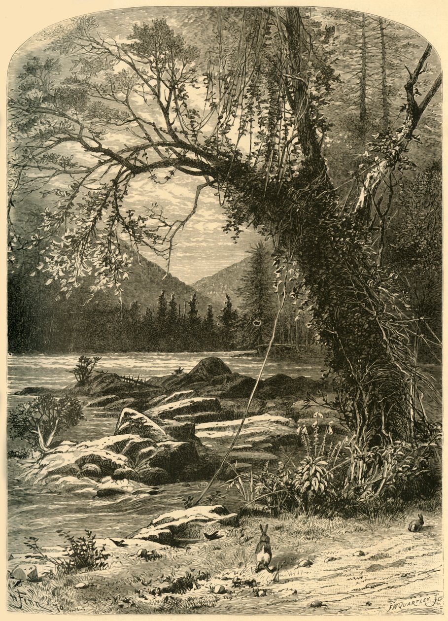 Floresta. de Frederick William Quartley