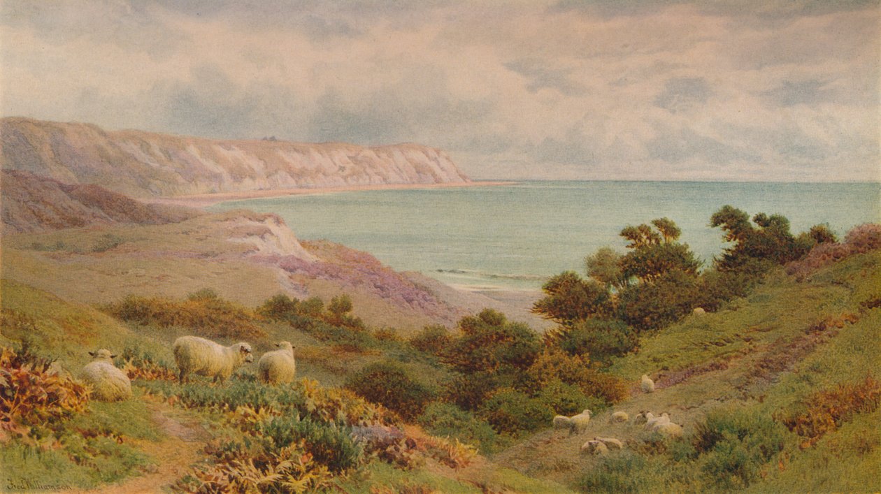 Floresta. de Frederick Williamson
