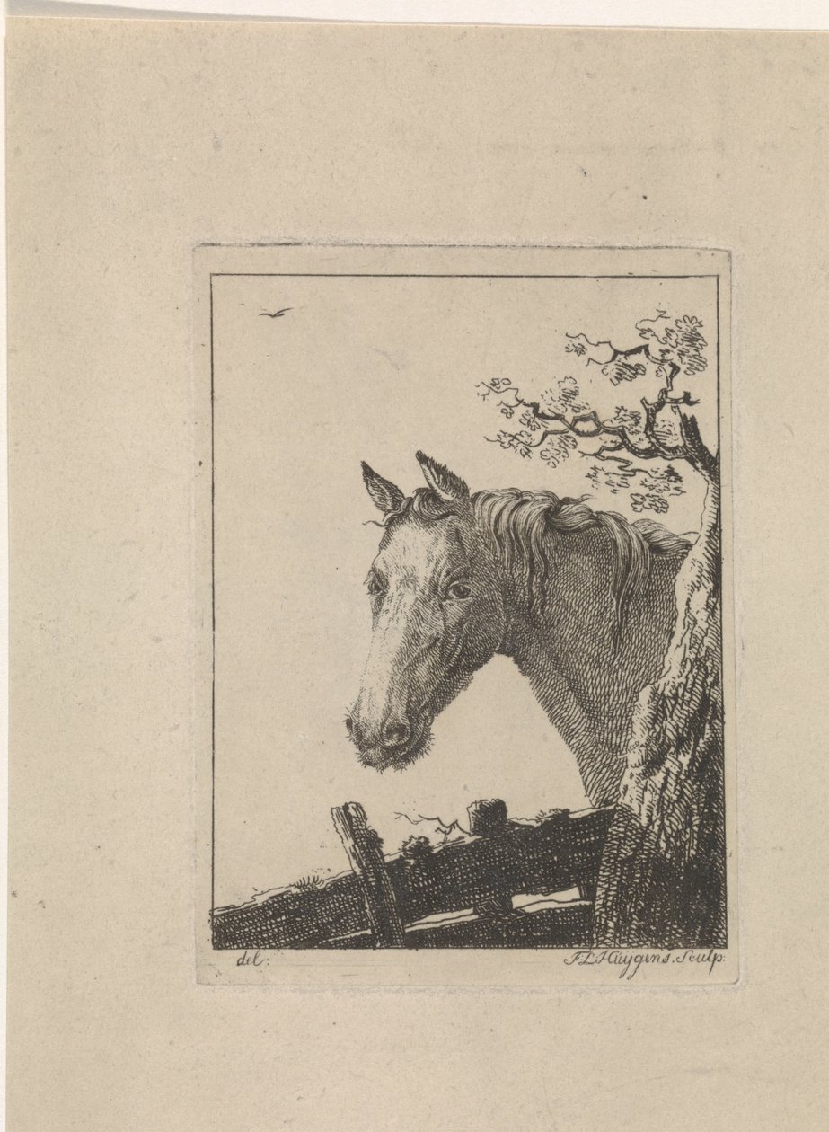 Cabeça de um cavalo de Frederik Lodewijk Huygens