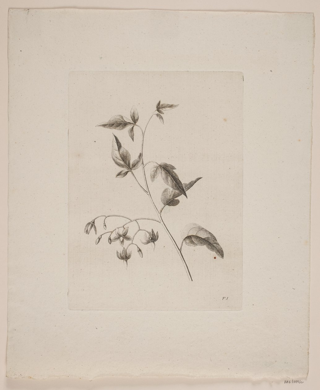 Motivo floral de Frederik Schepelern