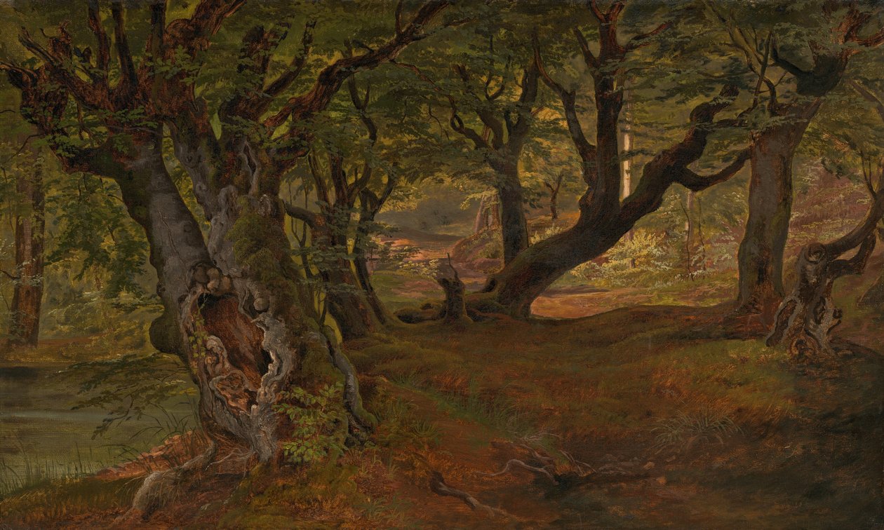 Vista da floresta de Bregentved, Sjaelland de Frederik Sødring