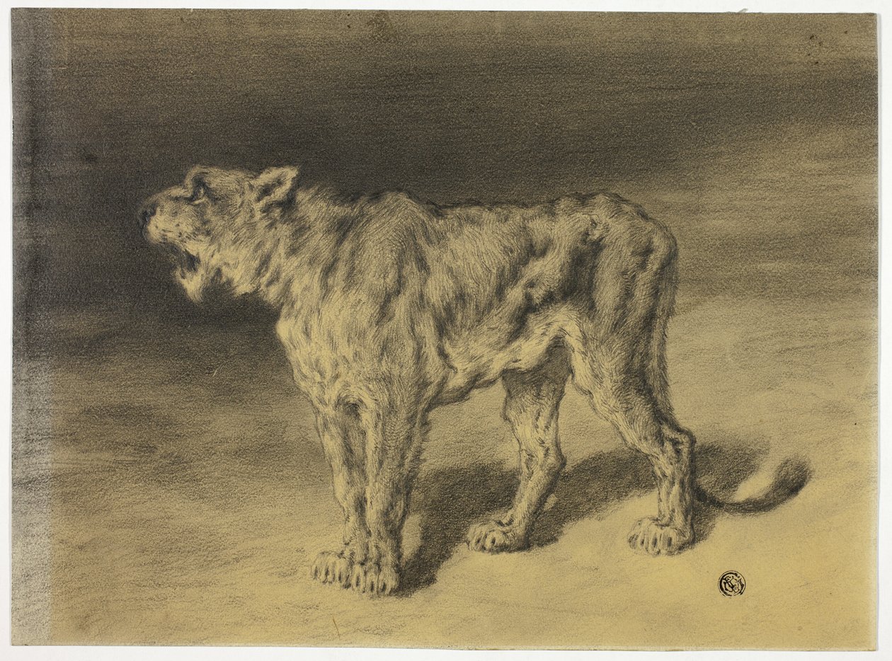 Rugido de leoa de Frederik William Zurcher