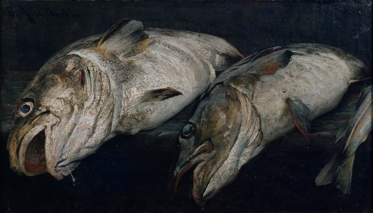 Bacalhau de Fredrik Kolstoe