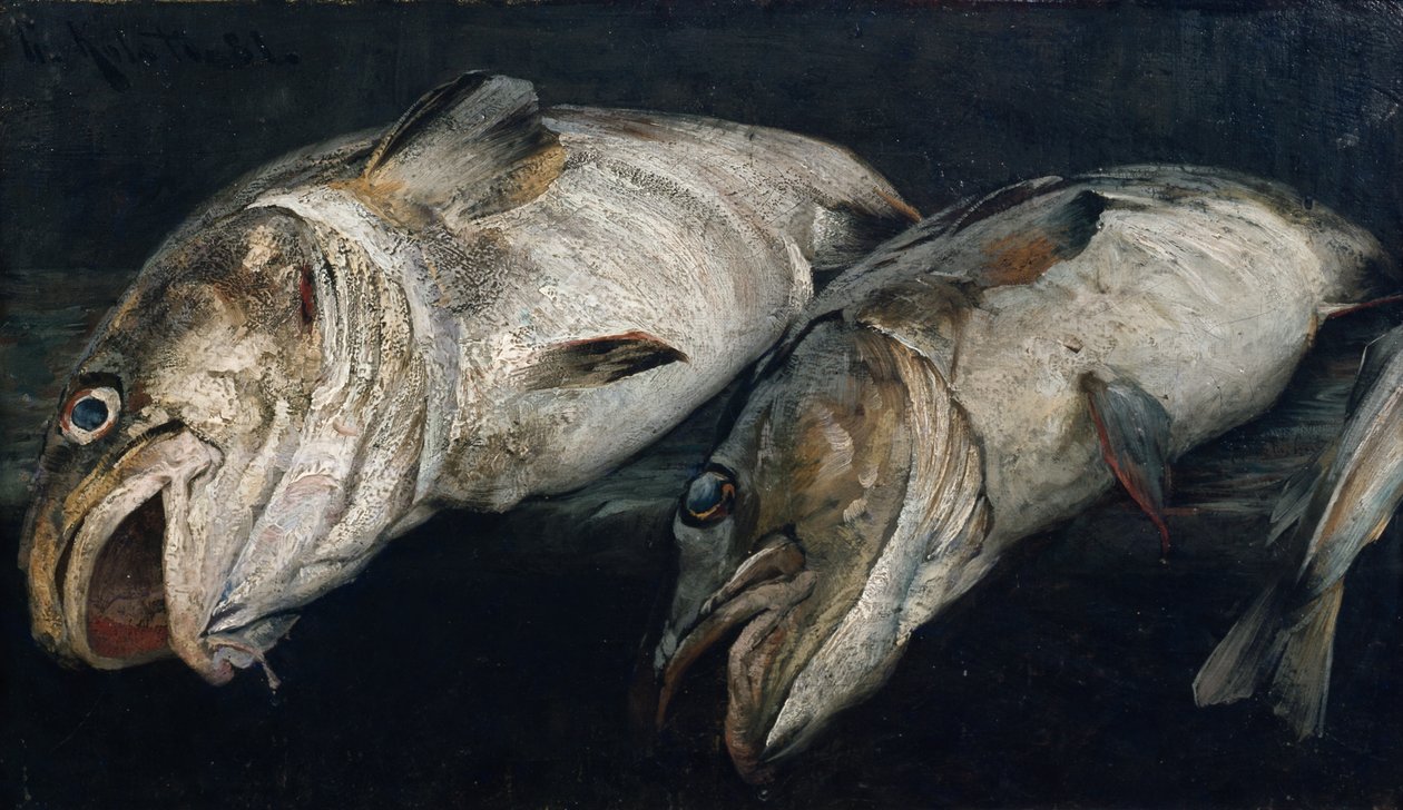 Bacalhau de Fredrik Kolstoe