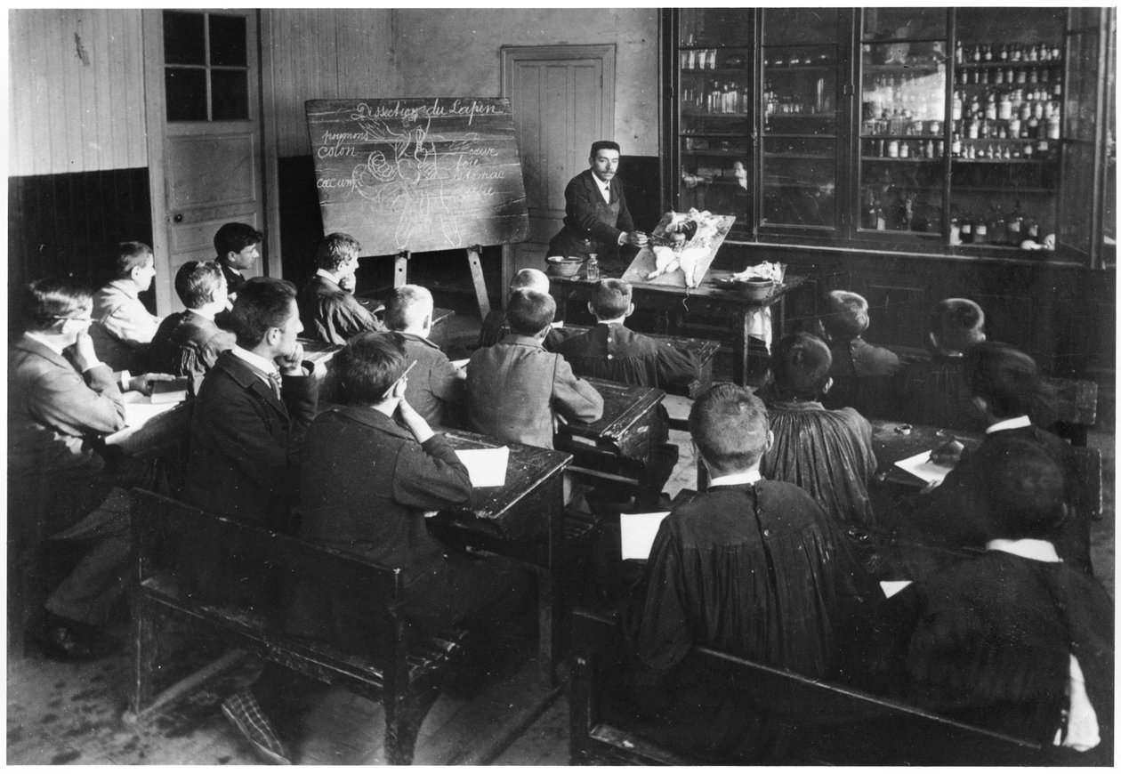 Uma aula de história natural em uma escola primária, Orme, dissecação de um coelho, início do século 20 de French Photographer