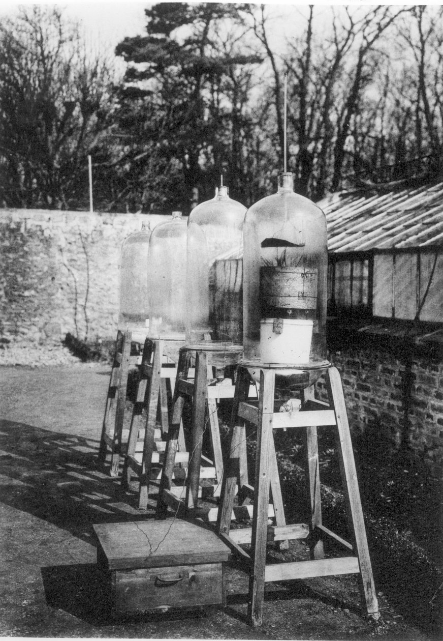 Potes de Bell usados para estudar o nitrogênio atmosférico sob a influência da eletricidade na Estação Marcelino Bertholet, Meudon, de um livro sobre os 400 anos do College de France, publicado em 1930 (bw ph de French Photographer