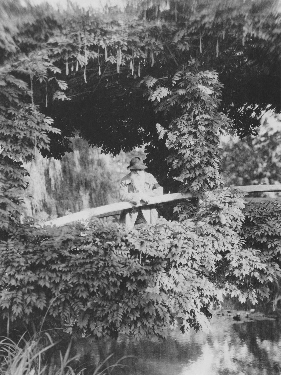 Claude Monet (1841-1926) na ponte japonesa em seu jardim em Giverny de French Photographer