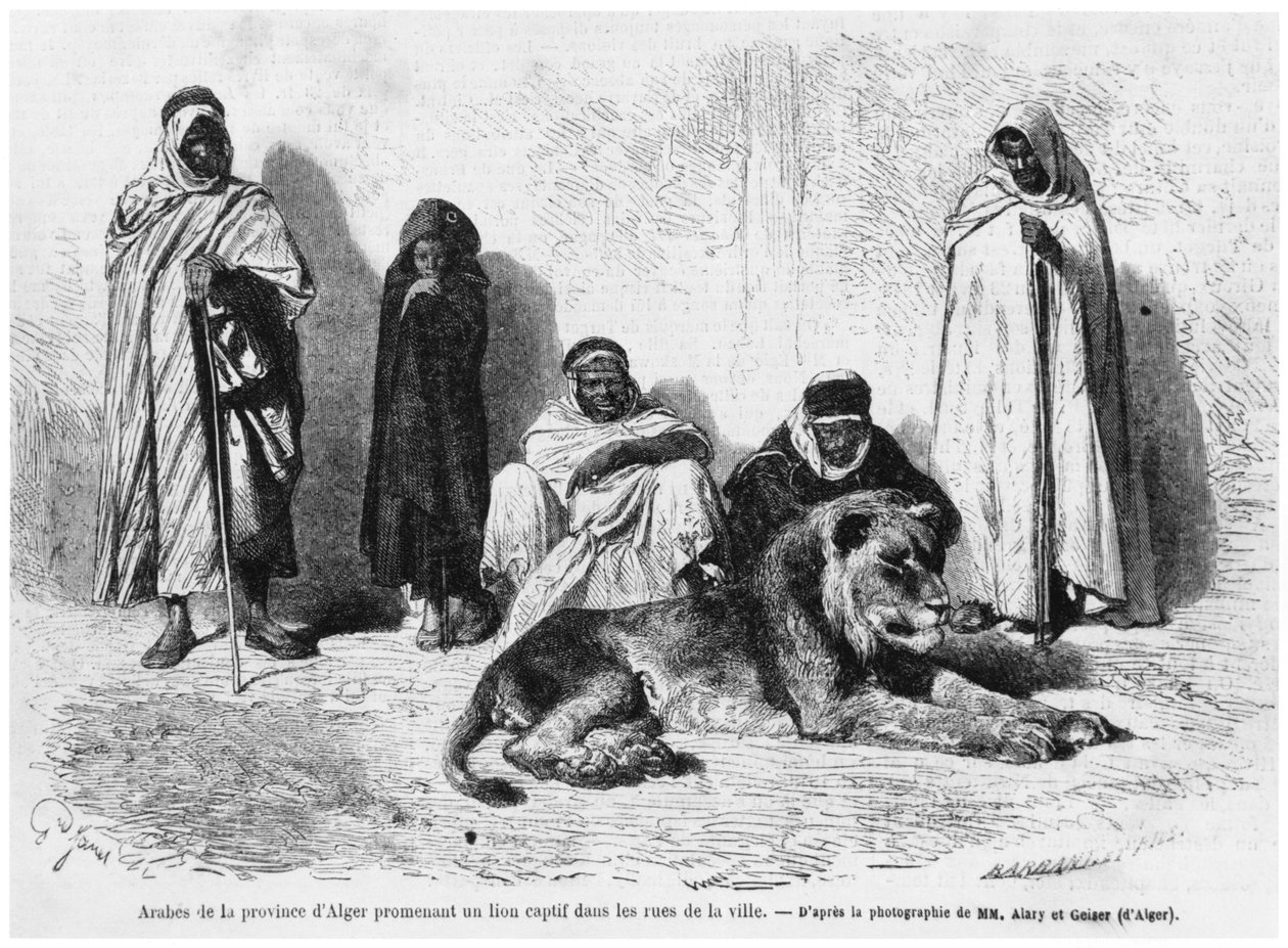 Grupo de homens árabes da província de Argel, andando com um leão capturado nas ruas da cidade, do Le Monde Illustre, janeiro de 1864 de French Photographer