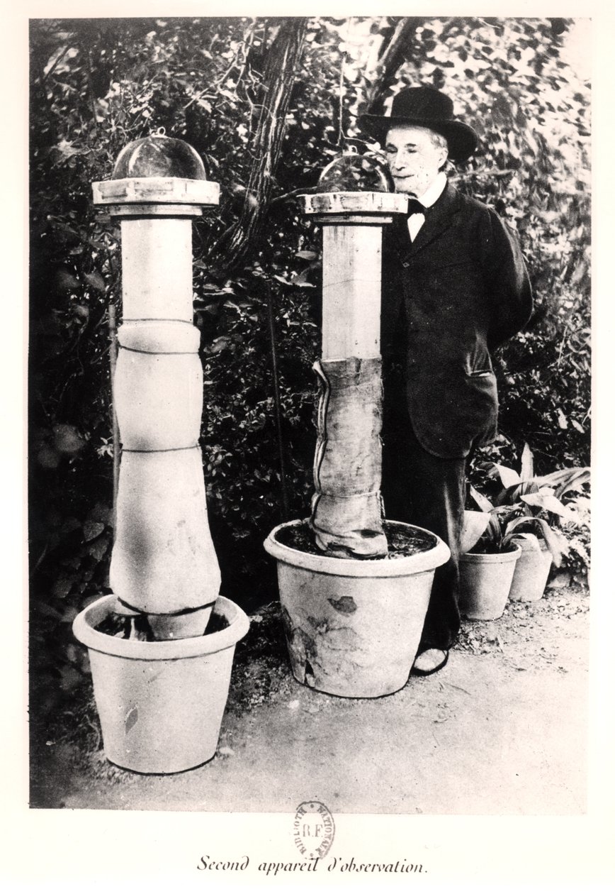 Jean-Henri Fabre (1823-1915) de Memórias Entomológicas, publicado em 1924 de French Photographer