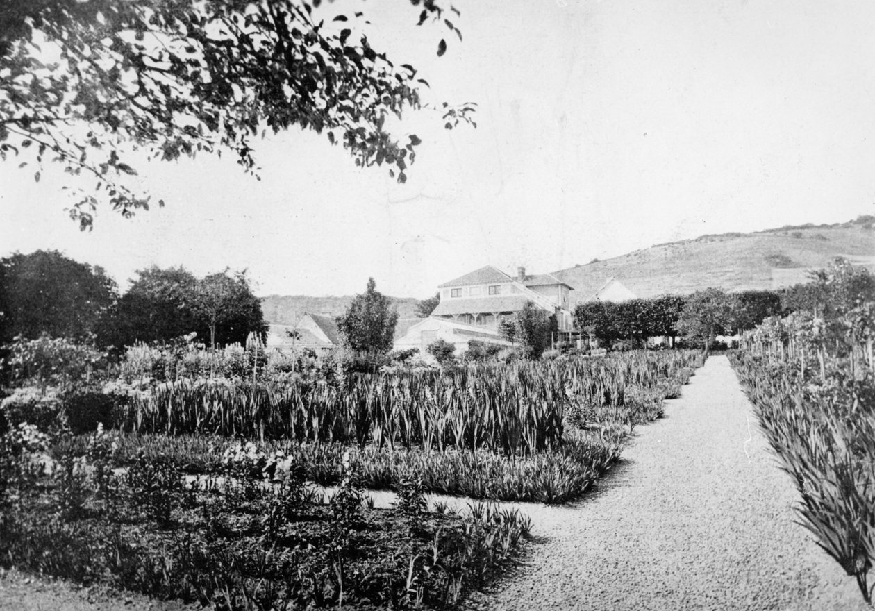 Monets Garden, Giverny, c.1908 de French Photographer