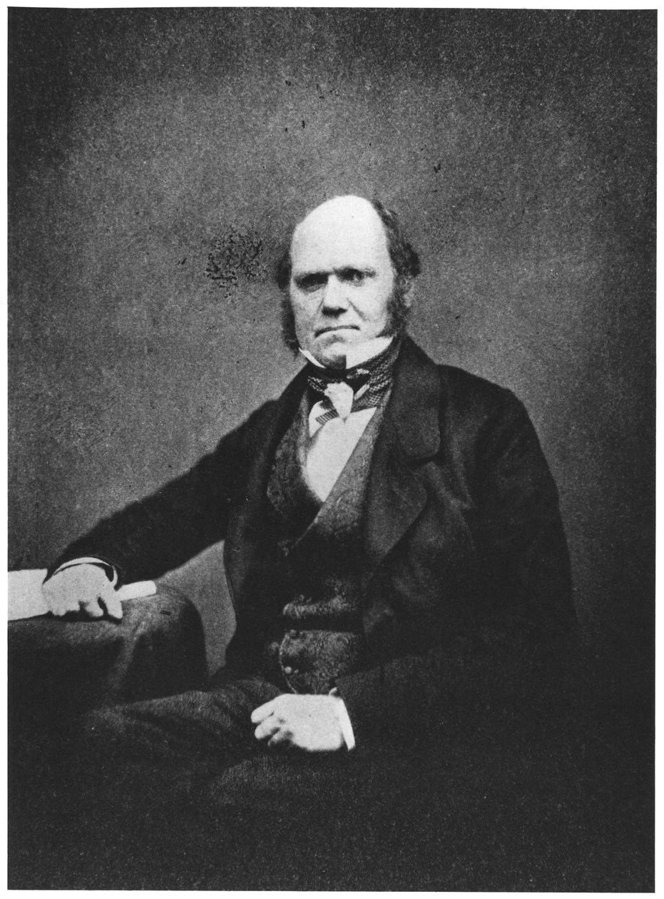 Retrato de Charles Darwin (1809-82) de French Photographer