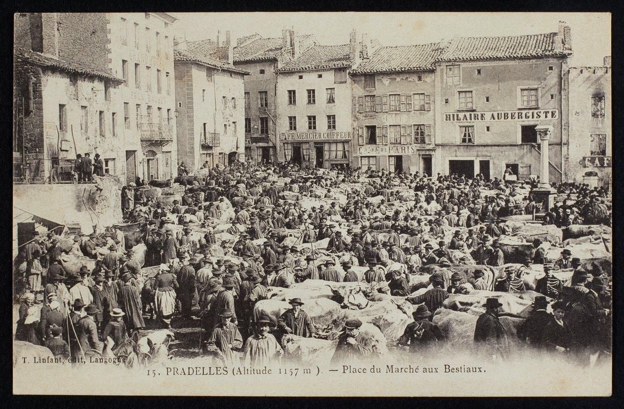 Postal retratando o mercado de gado em Pradelles, c.1900 de French Photographer