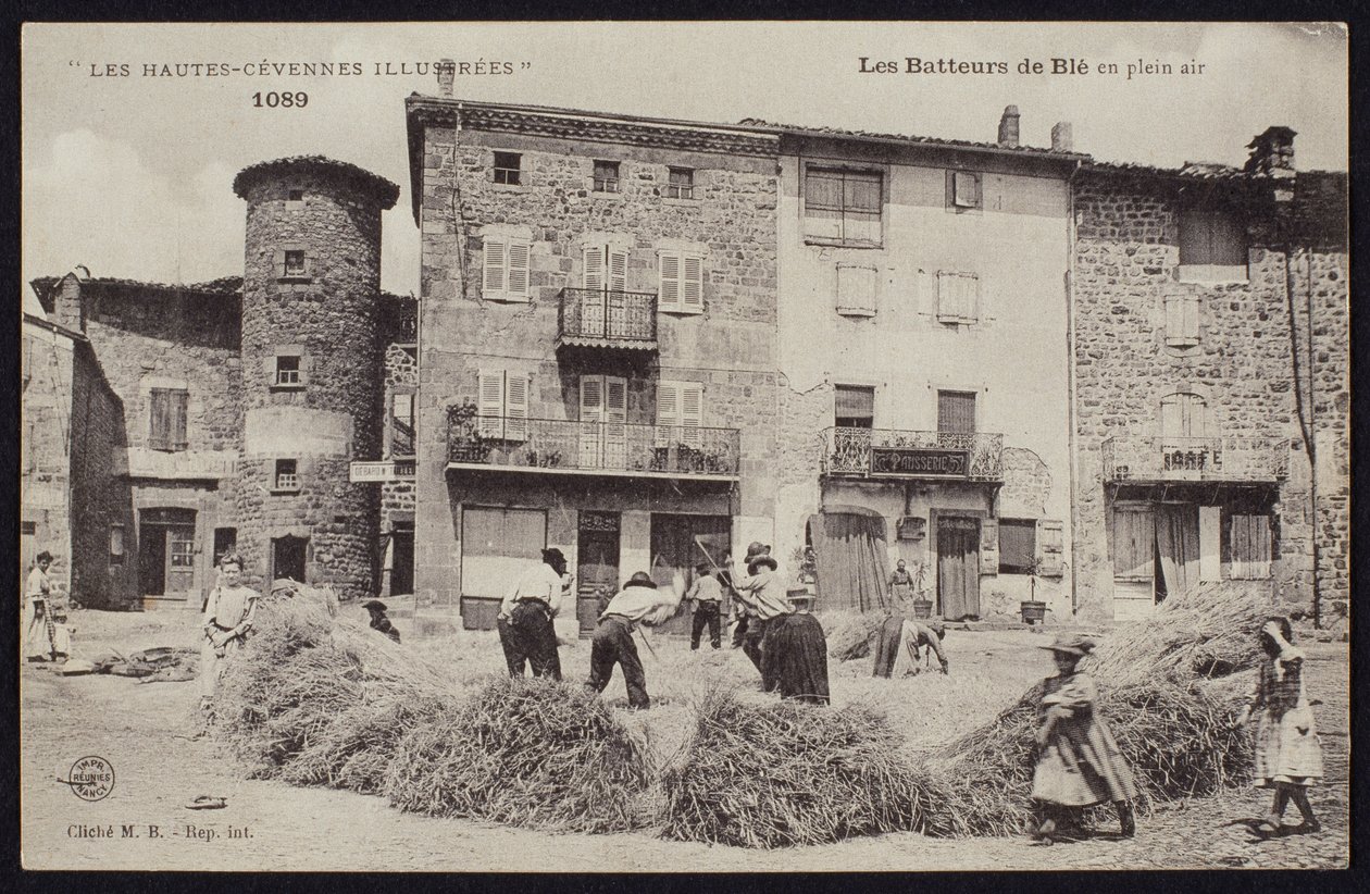 Postal retratando os debulhadores de milho em Cévennes, c.1900 de French Photographer