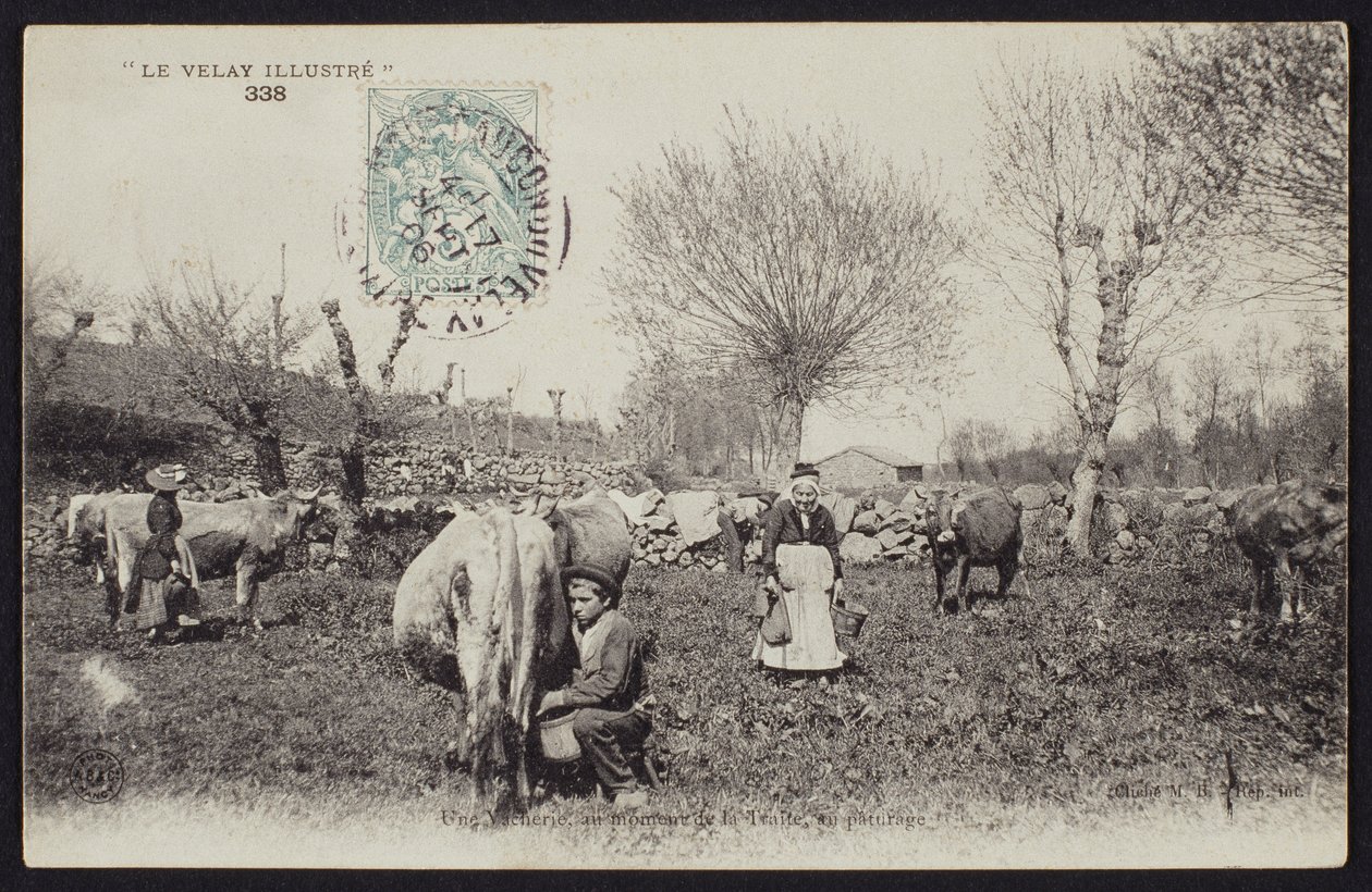 Postal representando o tempo de ordenha no Velay, c.1900 de French Photographer