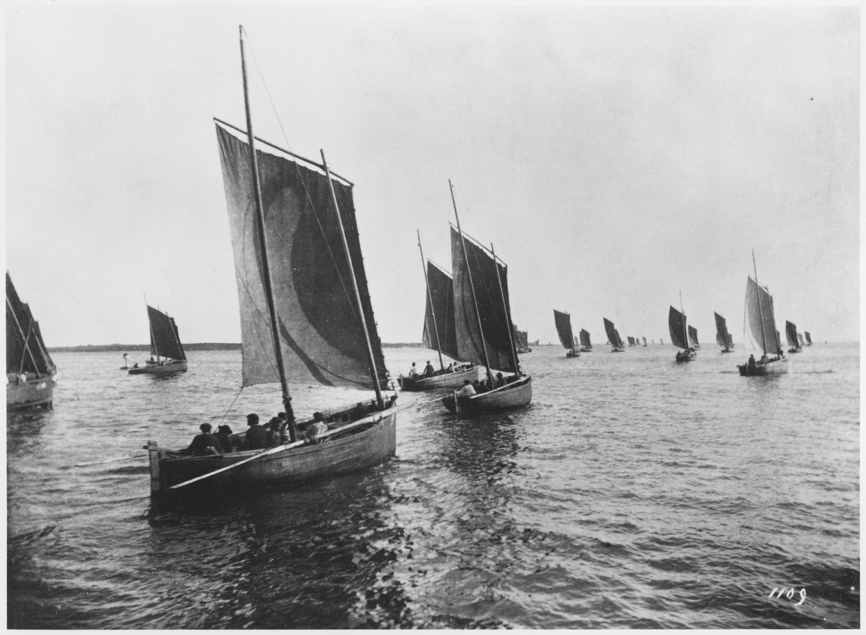 Barcos de sardinha de Concarneau de French Photographer