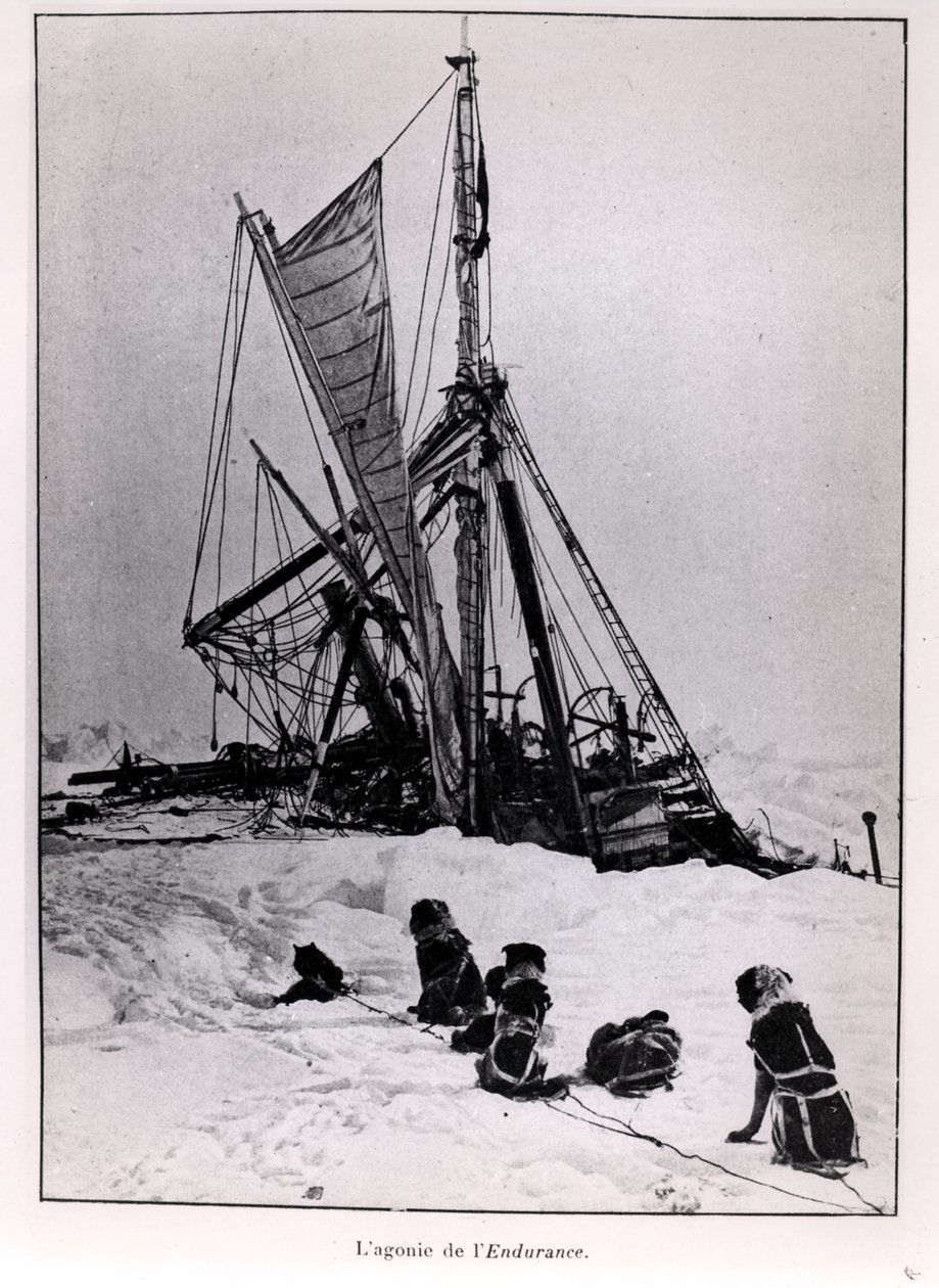 A agonia da resistência, da expedição ao pólo sul por Ernest Shackleton (1874-1922) 1914-1917 de French Photographer