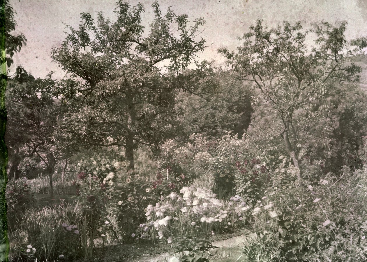 Vista, de, Giverny, monet&39;s, jardim, cedo, anos 20 de French Photographer