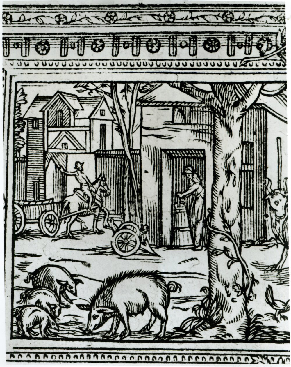 Uma fazenda, ilustração de &39;Teatro da agricultura e Mesnage des Champs&39; por Olivier de Serres (1539-1619) de French School
