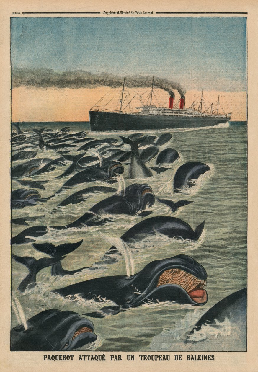 Um cardume de baleias atacando um transatlântico, ilustração de capa do "Le Petit Journal", suplemento ilustrativo, 17 de agosto de 1913 de French School