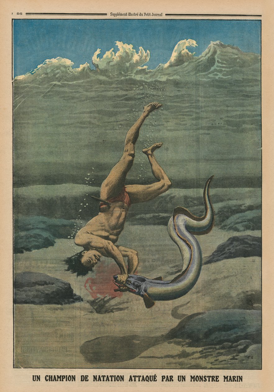 Um campeão de natação atacado por um monstro marinho, ilustração da capa do "Le Petit Journal", suplemento ilustre, 16 de fevereiro de 1913 de French School