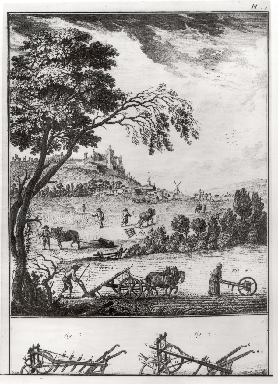 Agricultura, placa I da Enciclopédia de Denis Diderot (1713-84) 1762 de French School