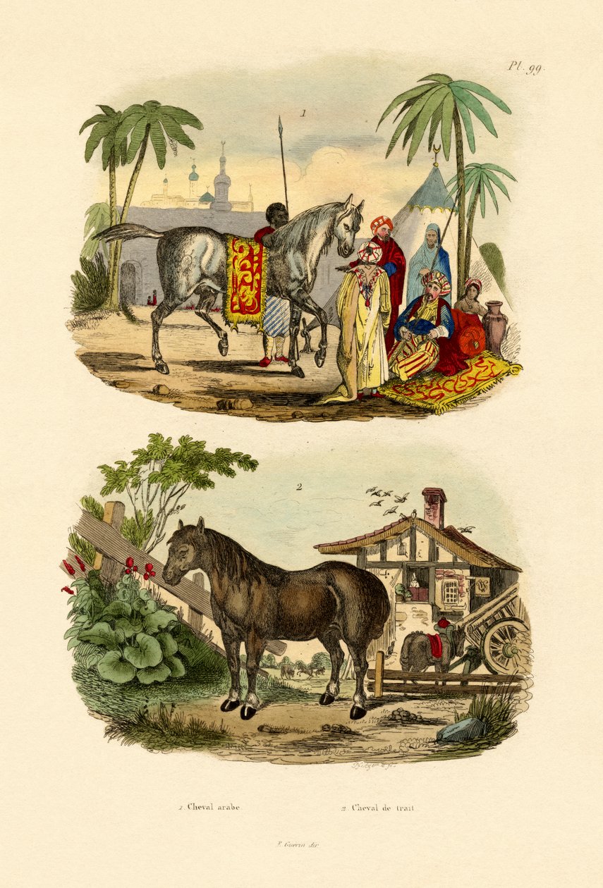 Cavalo árabe, 1833-39 de French School