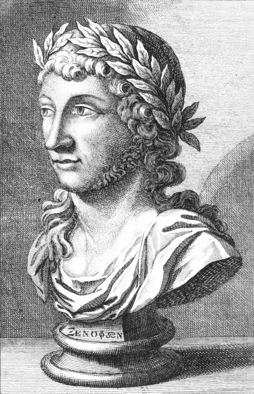 Busto de Xenófanes (c.560-c.478 aC) de French School