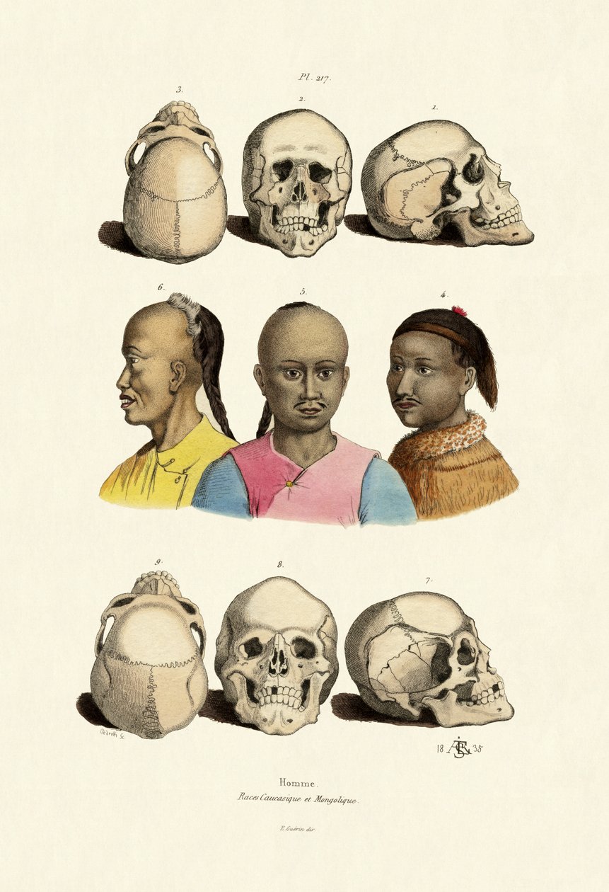 Caucasianos, 1833-39 de French School
