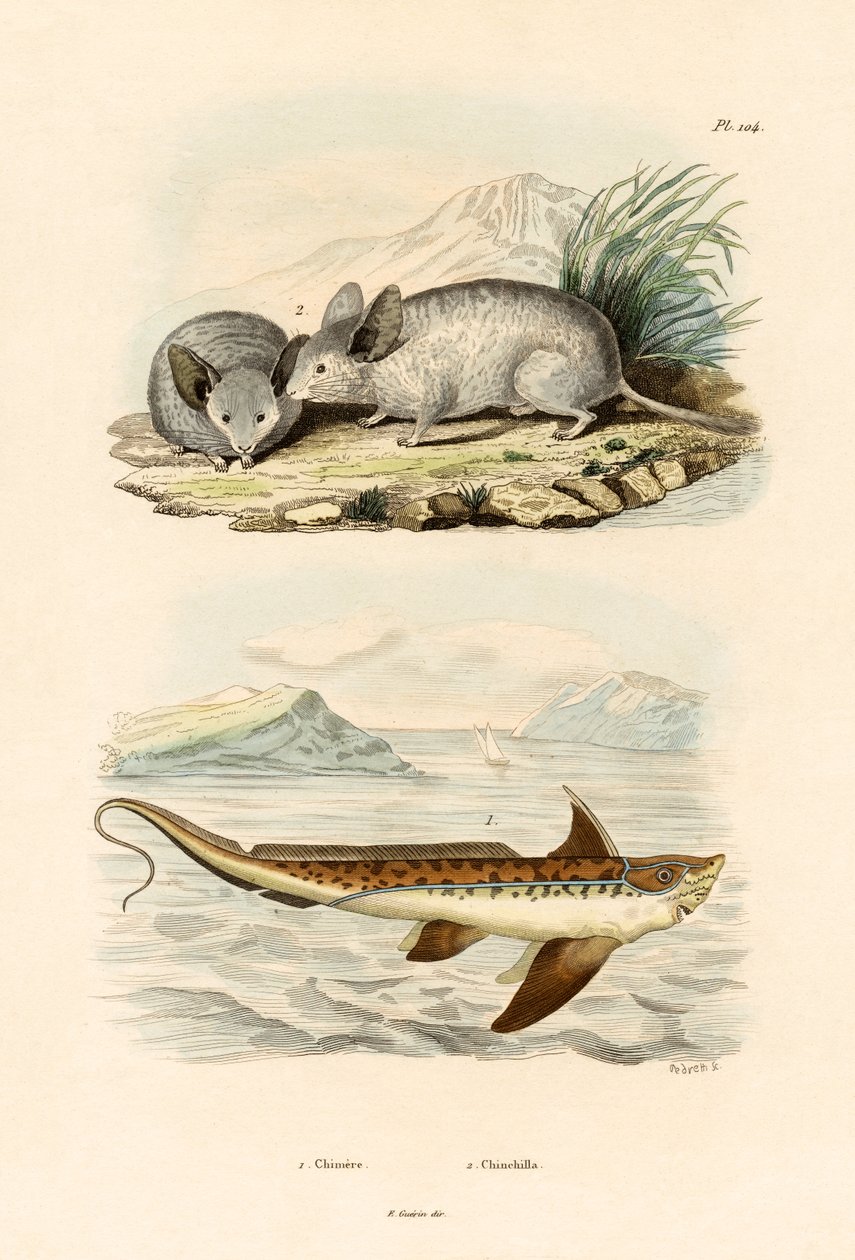 Quimera, 1833-39 de French School