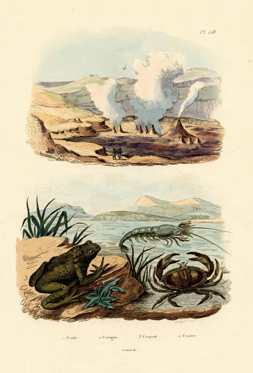 Caranguejo, 1833-39 de French School