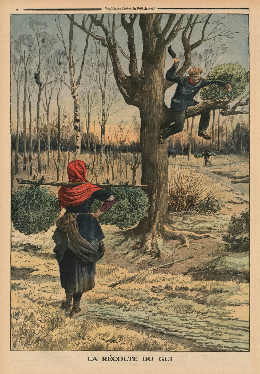 Cortando o visco, ilustração de capa de &39;Le Petit Journal&39;, suplemento ilustre, 4 de janeiro de 1914 de French School