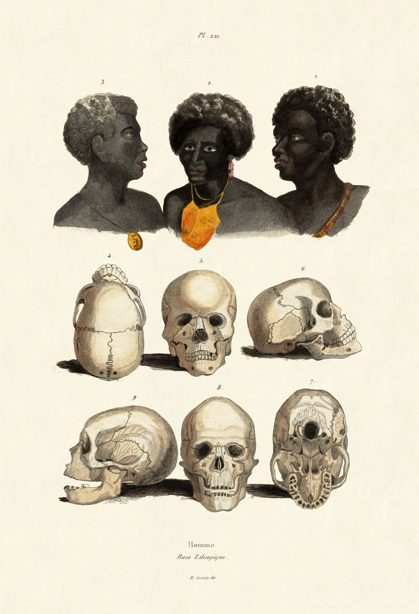 Etíopes, 1833-39 de French School