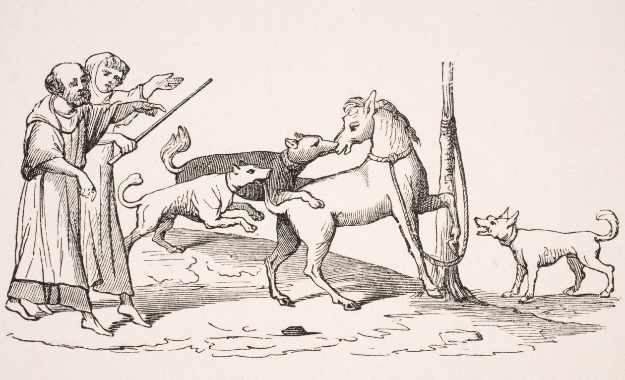 Luta entre cavalos e cães, reprodução de miniatura em um manuscrito do século 13, de &39;Le Moyen Age et La Renaissance&39; por Paul Lacroix (1806-84) publicado em 1847 de French School
