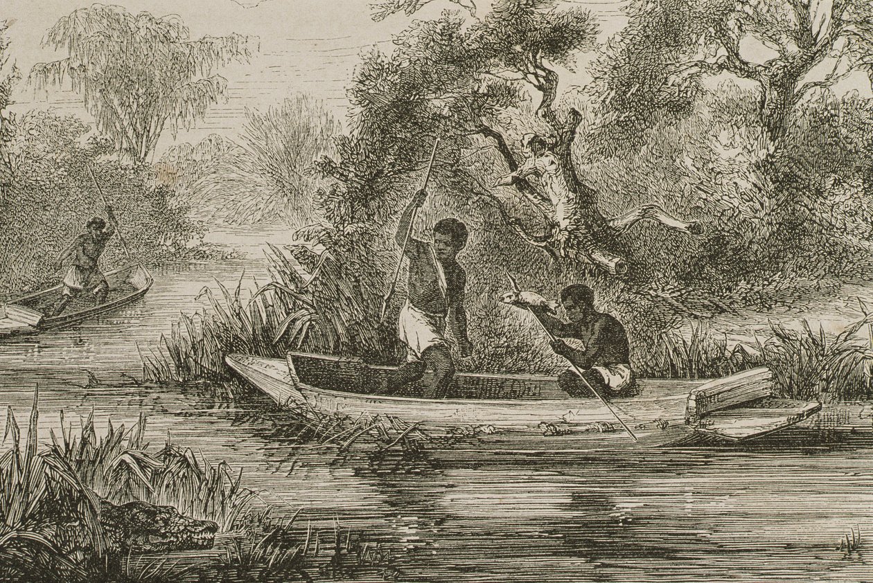 Pescadores, ligado, a, senegal, rio, 1860s de French School
