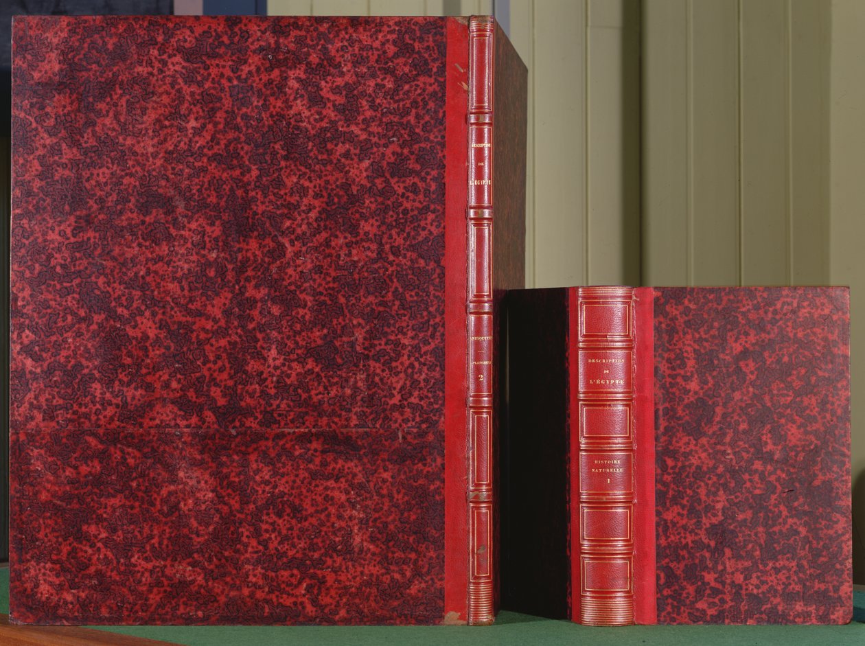 Capa da descrição de lEgypte, livro 1, volume II, antiguidades e contracapa do livro 8, volume I, Histoire Naturelle, 1809 (couro) de French School