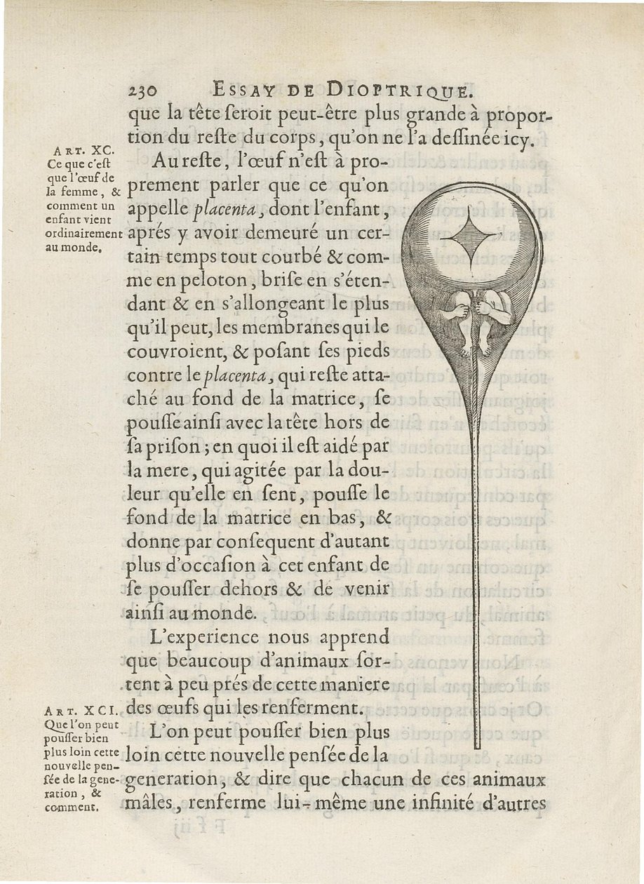 Homúnculo retratado dentro do esperma humano, de Essay de Dioptrique de Niklass Hartsoeker, 1694 de French School