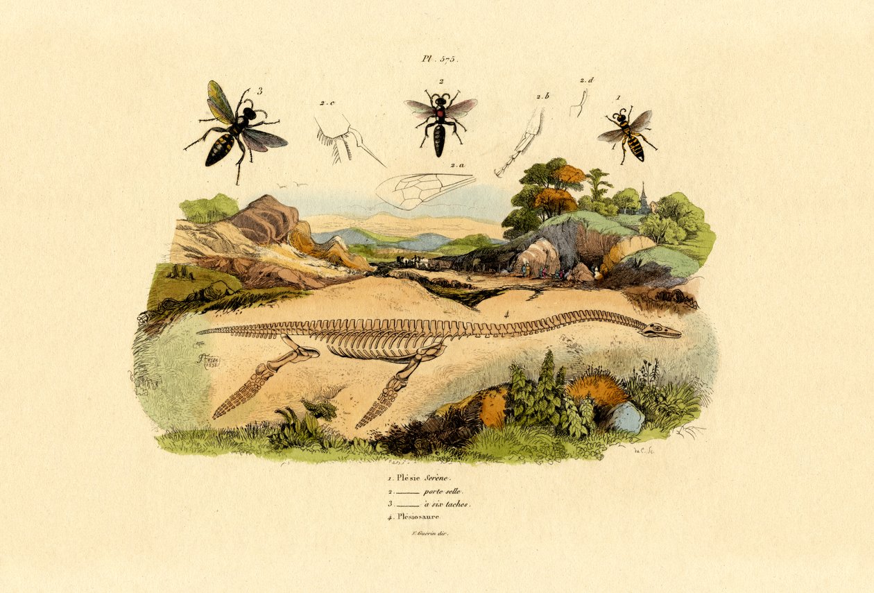 Hornet, 1833-39 de French School