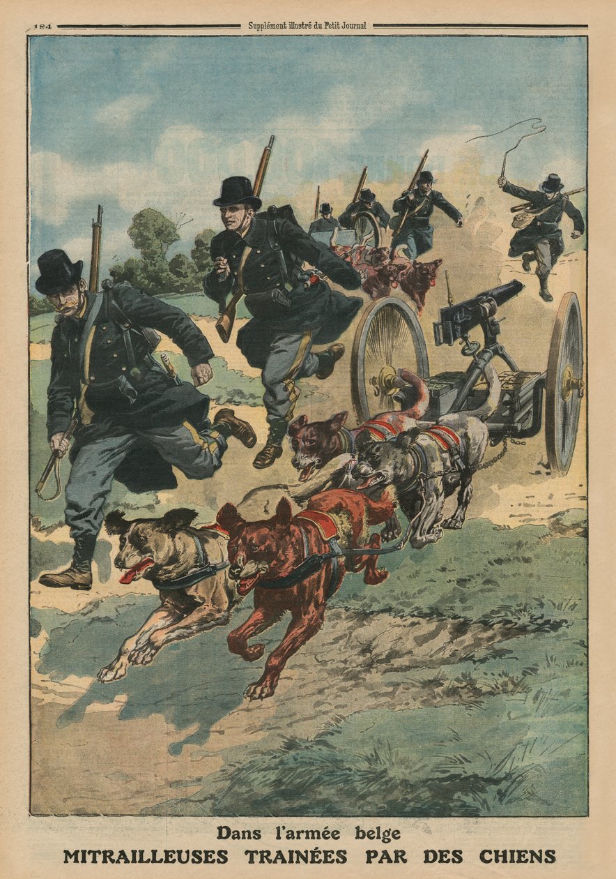 No exército belga, metralhadoras puxadas por cães, ilustração da capa do &39;Le Petit Journal&39;, suplemento ilustre, 8 de junho de 1913 de French School