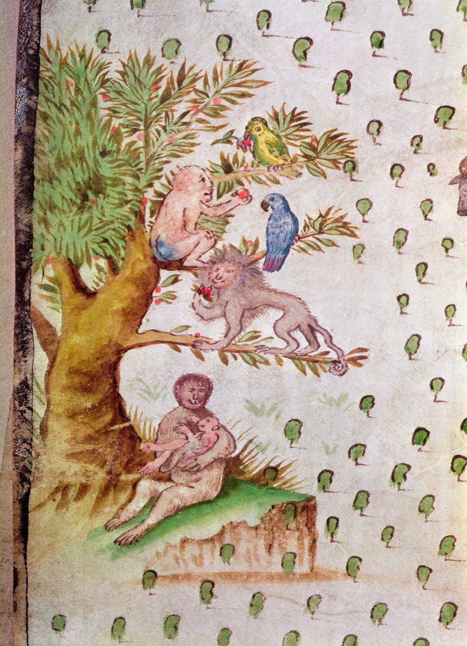 Mapa do Estuário de São Lourenço, detalhe de papagaios e macacos (caneta e tinta sobre papel) (detalhe de 214130) de French School