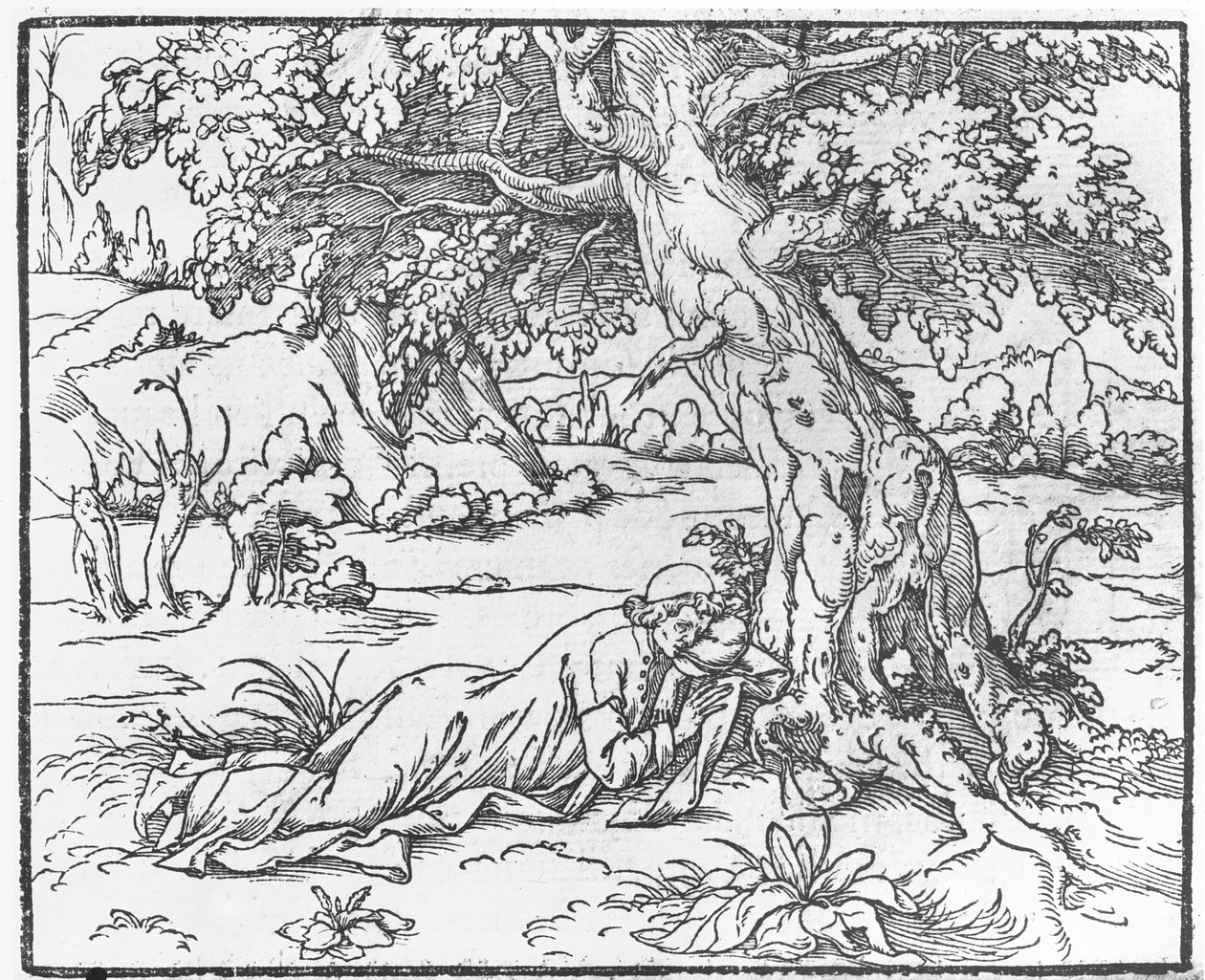 Página do discurso do sonho de Polifile, por Francesco Colonna, 1546 de French School