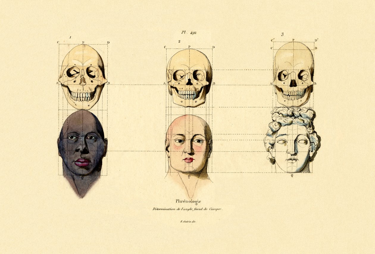 Frenologia, 1833-39 de French School
