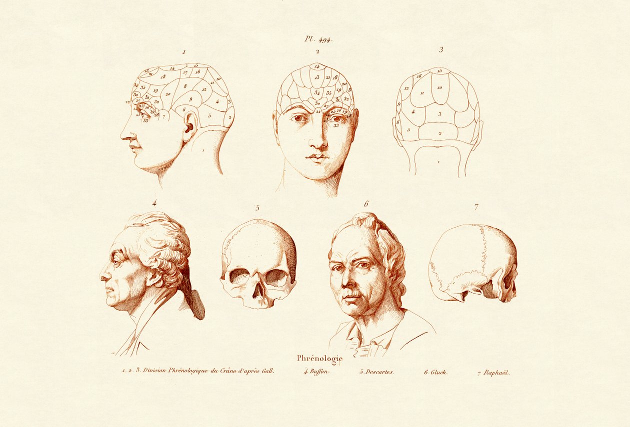 Frenologia, 1833-39 de French School