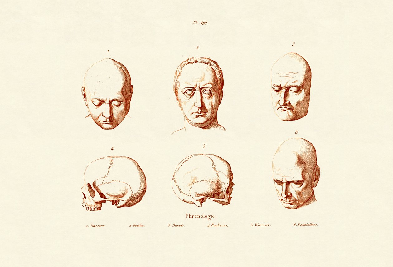 Frenologia, 1833-39 de French School