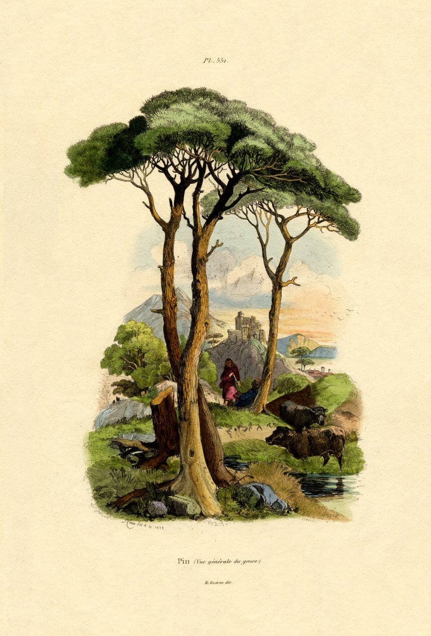 Pinheiro, 1833-39 de French School